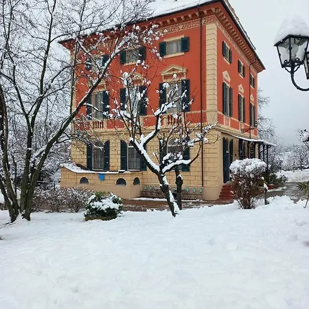 Viola Tortona
