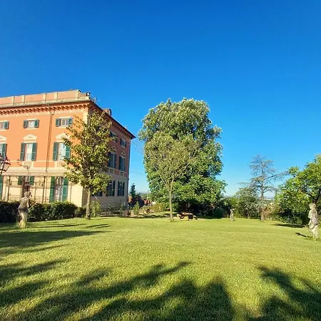Viola Tortona