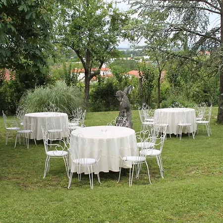 Viola * Tortona